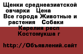 Щенки среднеазиатской овчарки › Цена ­ 20 000 - Все города Животные и растения » Собаки   . Карелия респ.,Костомукша г.